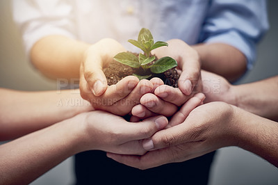 Buy stock photo A cropped image of hands holding a plant growing in earth