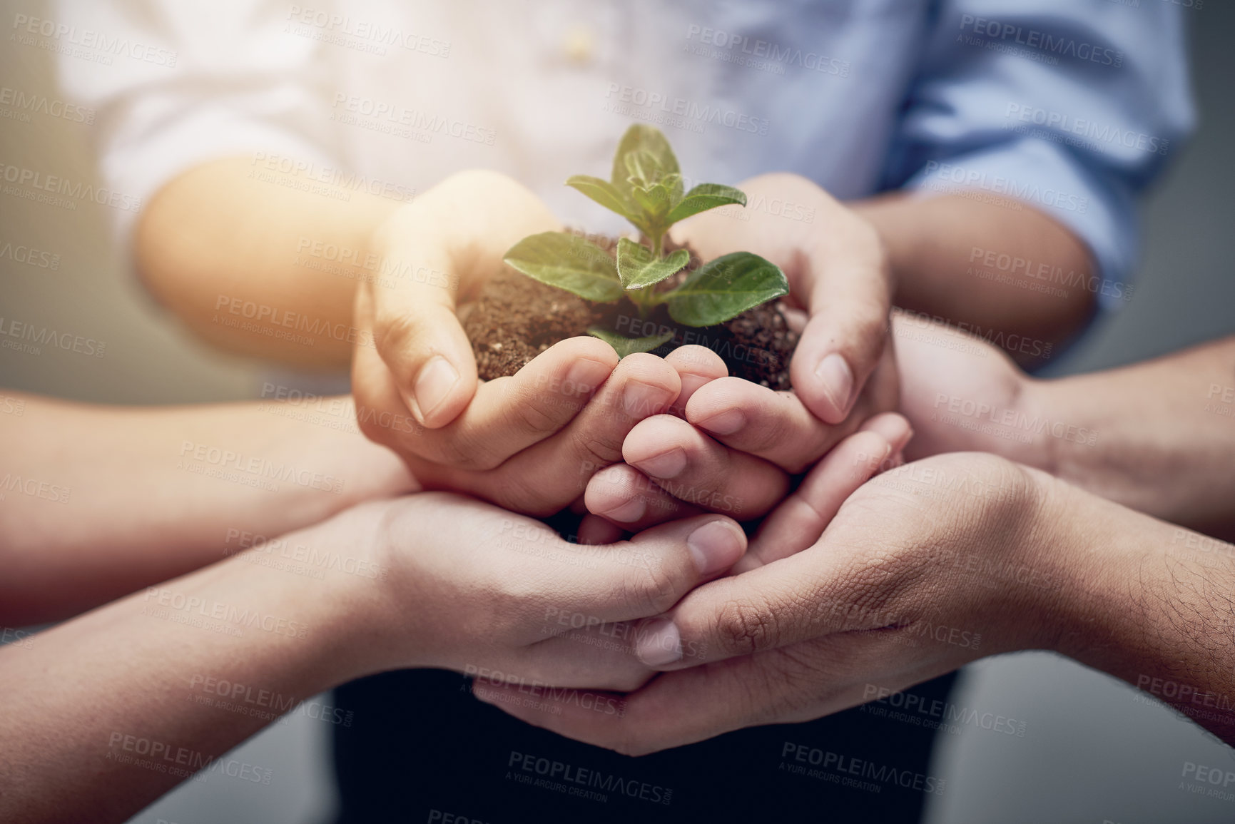 Buy stock photo A cropped image of hands holding a plant growing in earth
