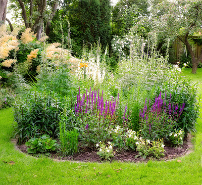 Buy stock photo A panorama photo of the garden in late summer