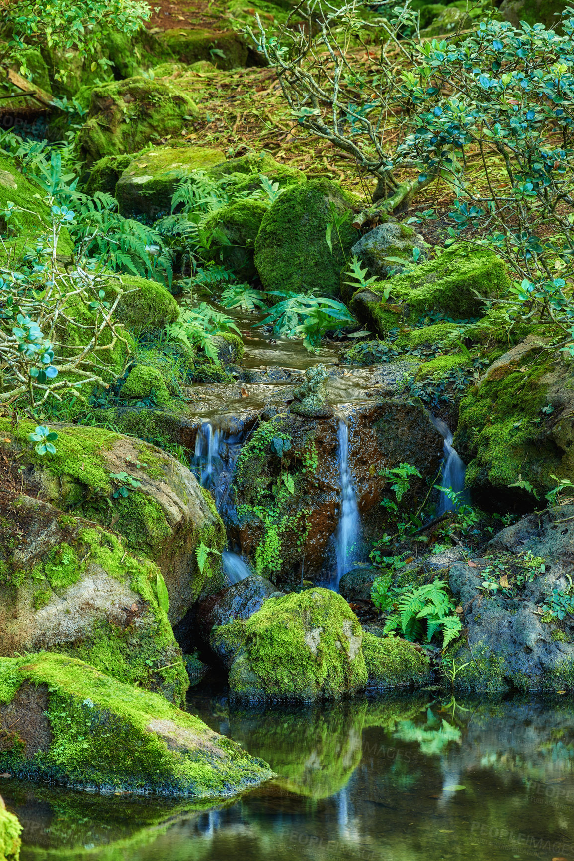 Buy stock photo Pond with a waterfall over moss covered rocks. Landscape of small natural spring near clear pool on a mountain trail. Relaxing peaceful nature scene. Calm background of water flowing on stone outside