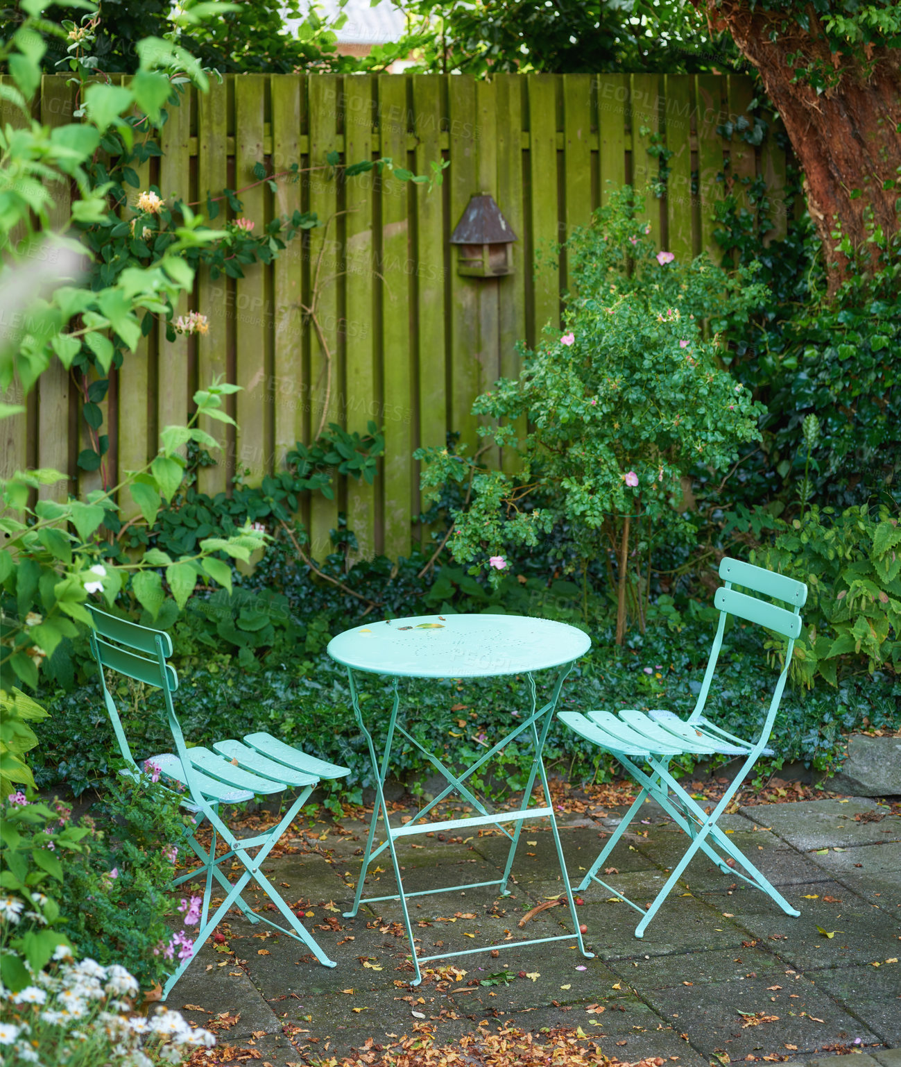 Buy stock photo Garden chairs and table in a relaxing, serene, peaceful, lush and private home backyard in summer. Green metal patio furniture seating in an empty and tranquil courtyard with fresh flowers and plants