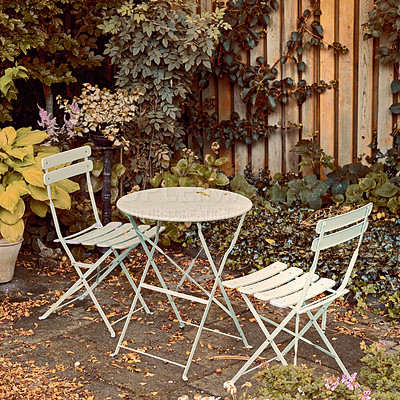 Buy stock photo Courtyard metal chairs and table in a serene, peaceful, lush, private backyard at home in autumn. Patio furniture set in outdoor space, seating in an empty and tranquil garden with scrub plants