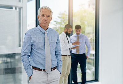 Buy stock photo Portrait of a mature businessman standing in an office with colleagues in the background