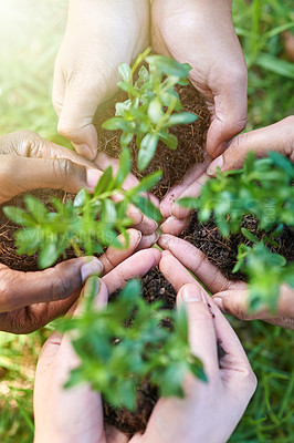 Buy stock photo Hands, people and seedling in soil for growth, eco friendly and sprout for climate change in outdoors. Closeup, sapling and plant for ecology in nature, above and volunteers for earth day on planet