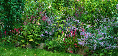 Buy stock photo A panorama photo of the garden in late summer