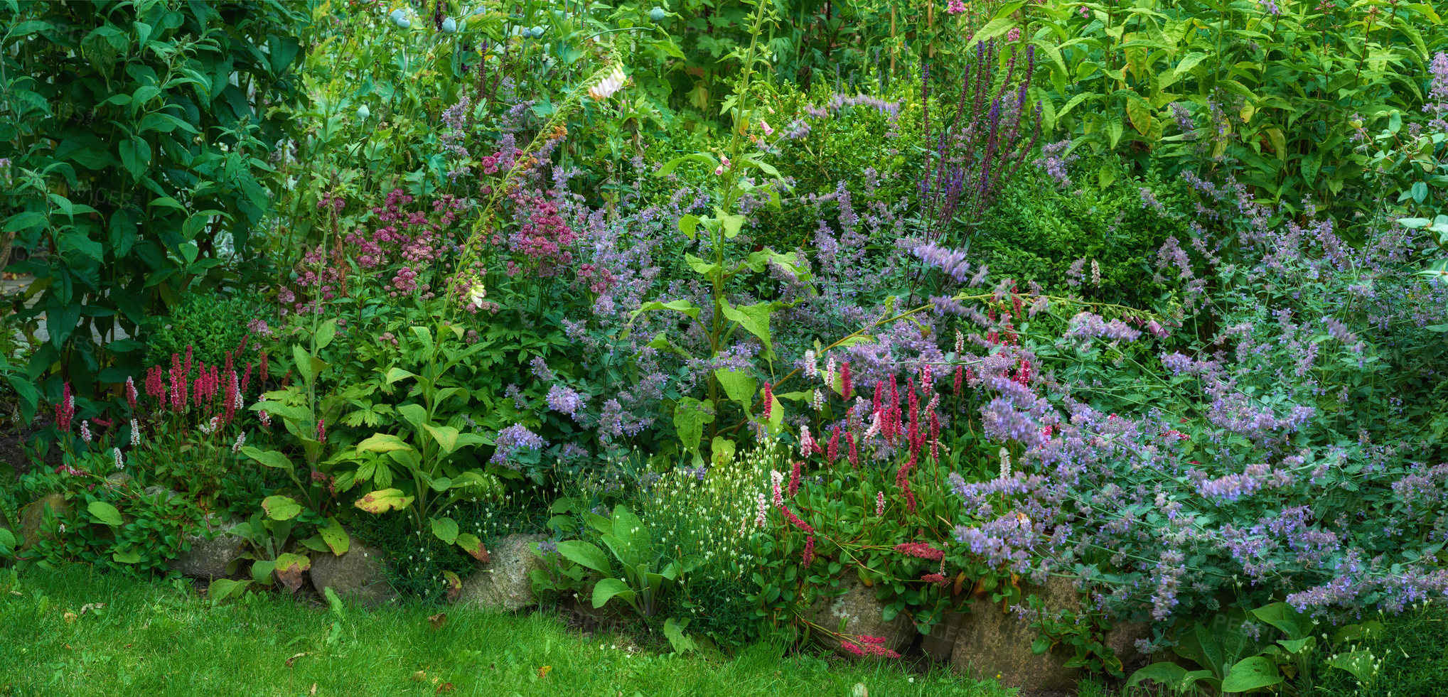 Buy stock photo A panorama photo of the garden in late summer