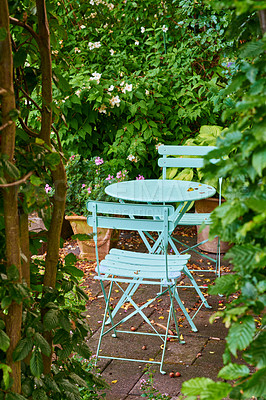 Buy stock photo Two green metal chairs and table in a serene, peaceful private courtyard in a home backyard on a summer day. Small outdoor patio furniture set, seating in empty and tranquil garden with fresh plants