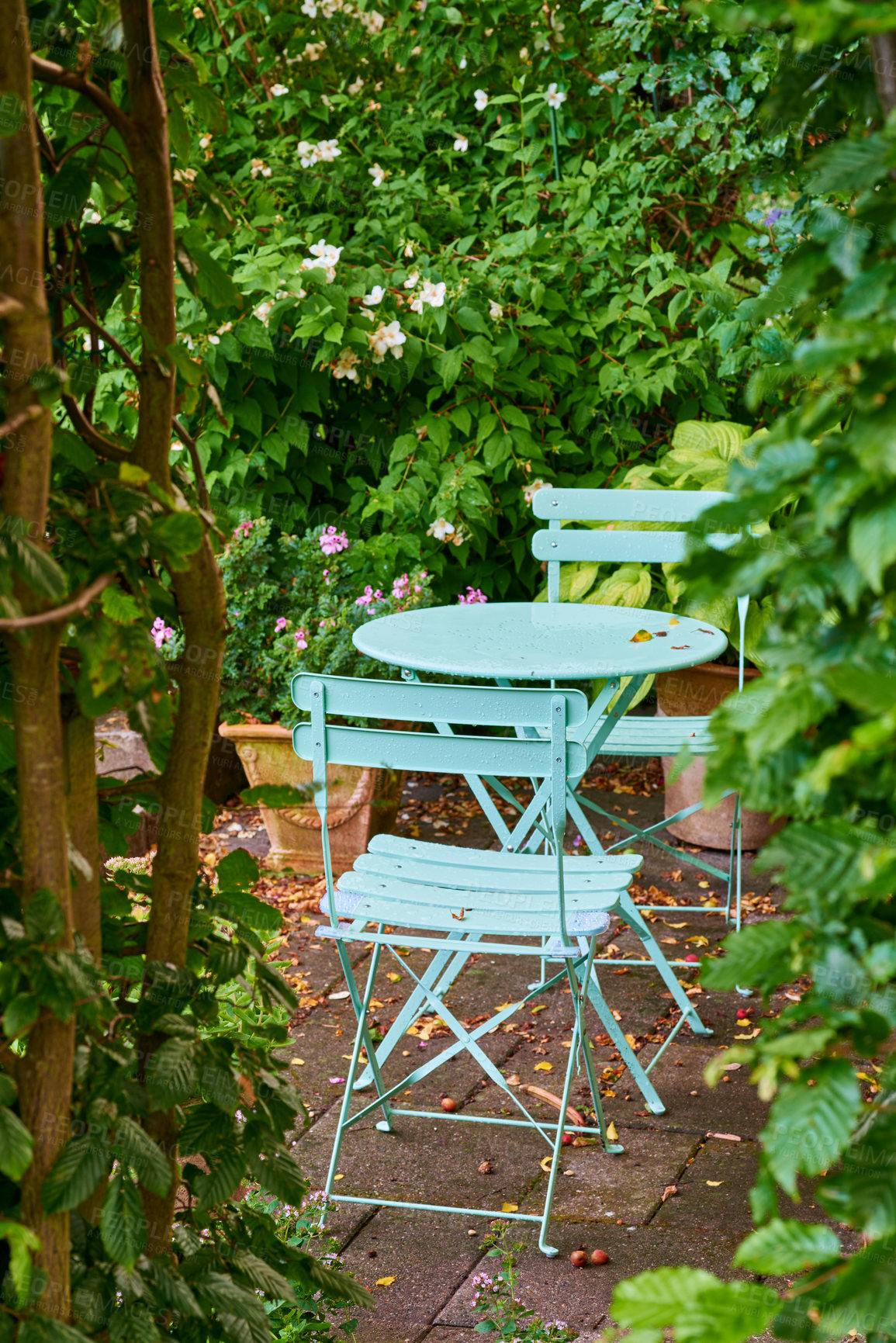 Buy stock photo Two green metal chairs and table in a serene, peaceful private courtyard in a home backyard on a summer day. Small outdoor patio furniture set, seating in empty and tranquil garden with fresh plants