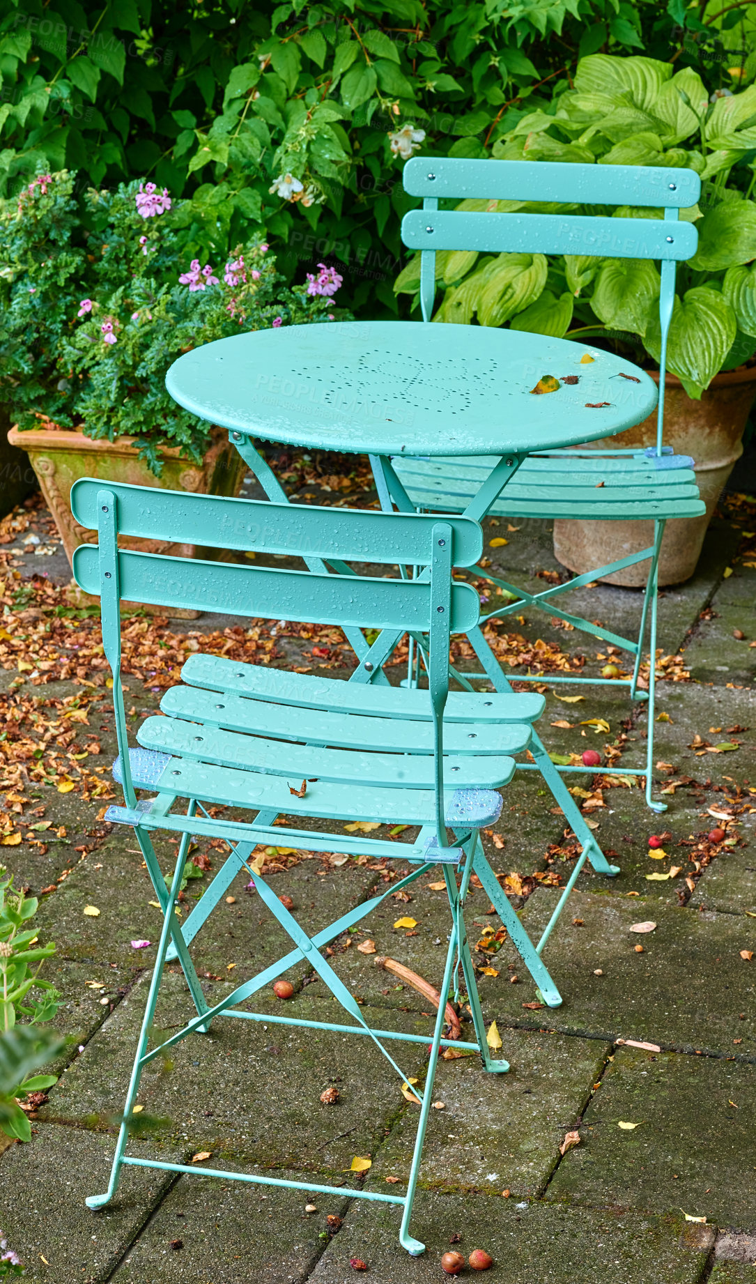 Buy stock photo Chairs and table with green plants in a private garden or courtyard. Lush landscape to sit and enjoy a leisurely afternoon in the sun and fresh air. Cosy and quiet picnic spot to relax in springtime