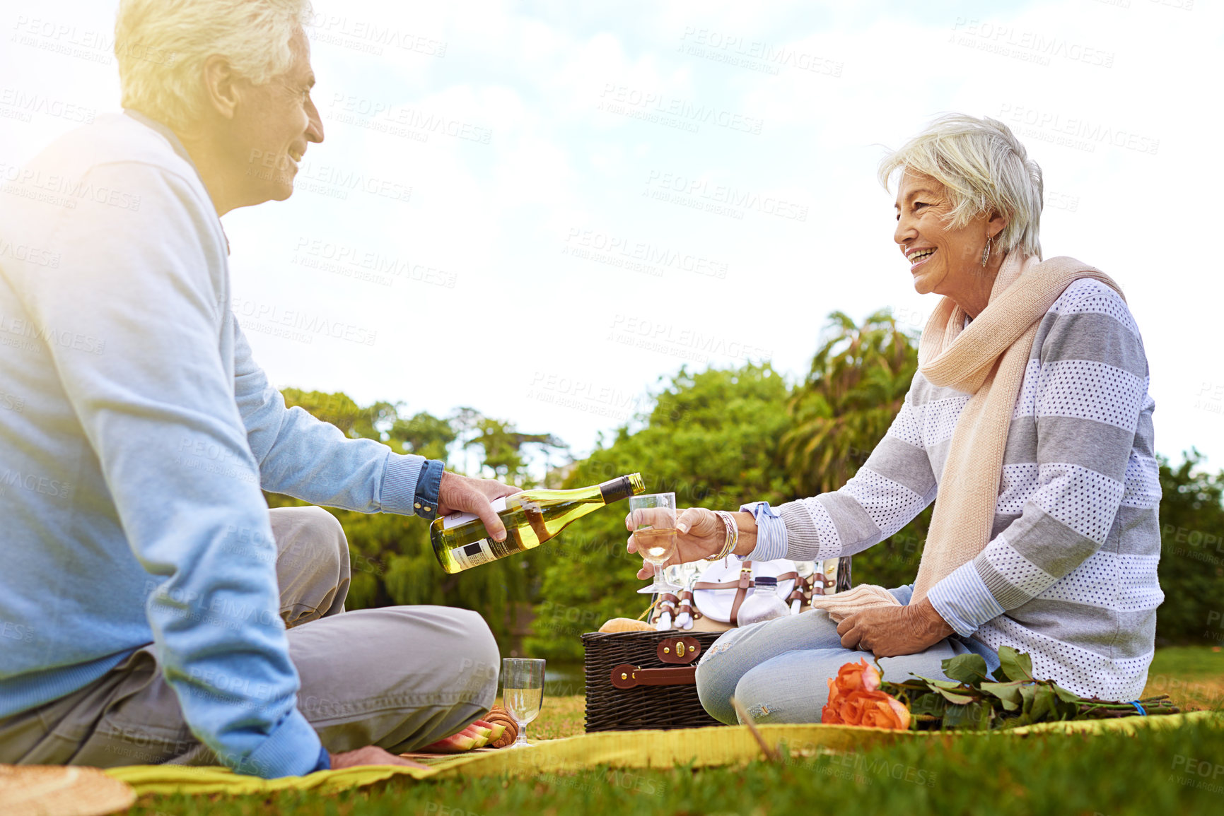 Buy stock photo Shot of a senior couple enjoying a picnic in a park