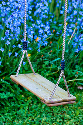 Buy stock photo Wooden swing in a lush green garden in summer. Empty swing in a beautiful backyard outside. Pretty vintage wood seat for family rest and fun in a yard. Swing hanging in a field during the summertime