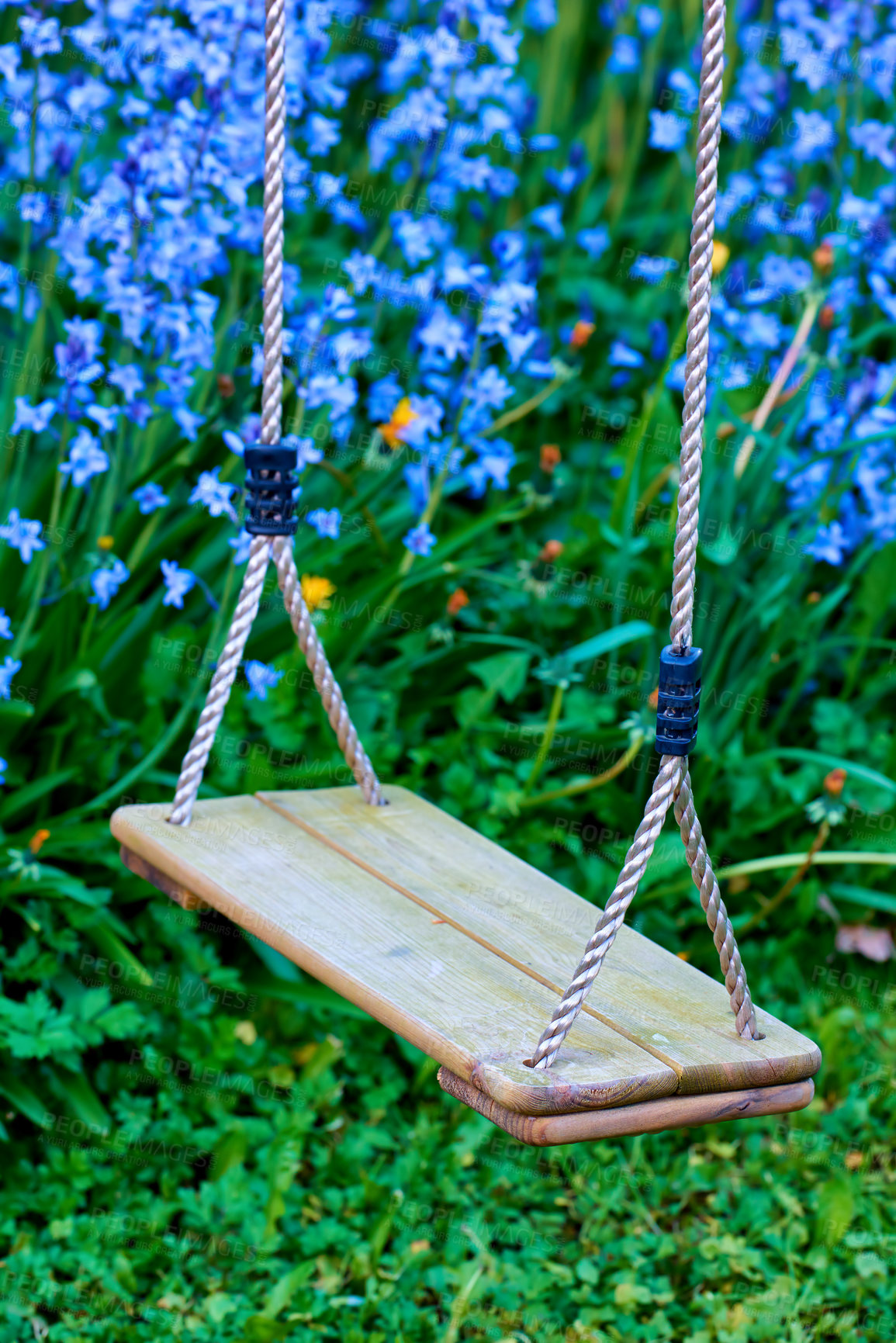 Buy stock photo Wooden swing in a lush green garden in summer. Empty swing in a beautiful backyard outside. Pretty vintage wood seat for family rest and fun in a yard. Swing hanging in a field during the summertime