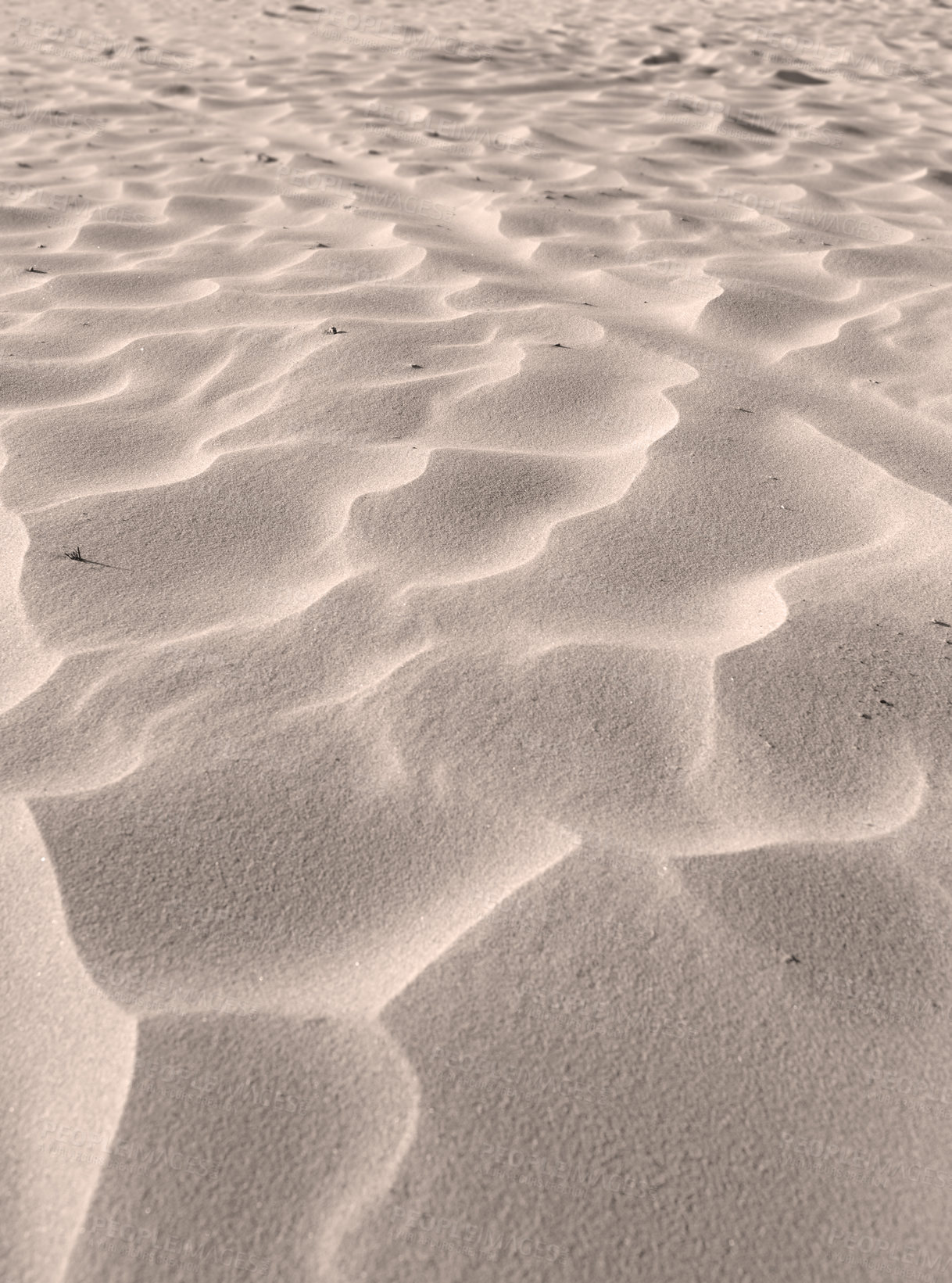 Buy stock photo Sand dunes on a windy beach in nature on a sunny day with copyspace. Closeup of scenic landscape outdoors with grainy surface texture. Peaceful and calm desert to explore for travel and tourism