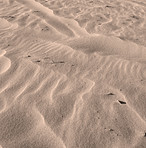 Beach sand 