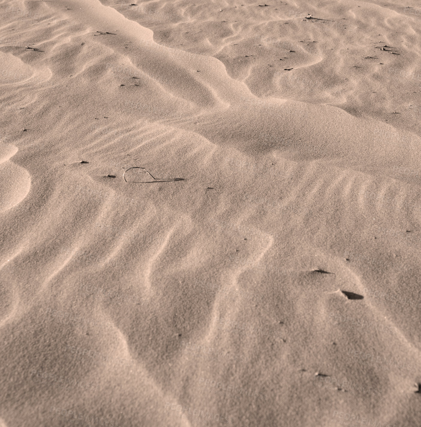 Buy stock photo Brown sand dunes at the beach shore in nature on a sunny day with copyspace. Closeup of desert landscape outdoors with grainy and sandy surface texture. Dry barren coastal scenic to explore in summer