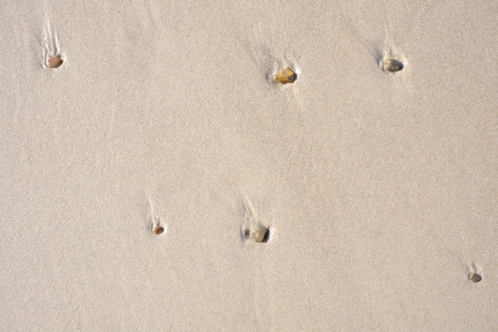 Buy stock photo Pebbles and shells stuck in a wet sandy beach from above. Beautiful seashells which lodged in a sand and stone mixture on the coast. Textured and calming background for use as a scenic wallpaper