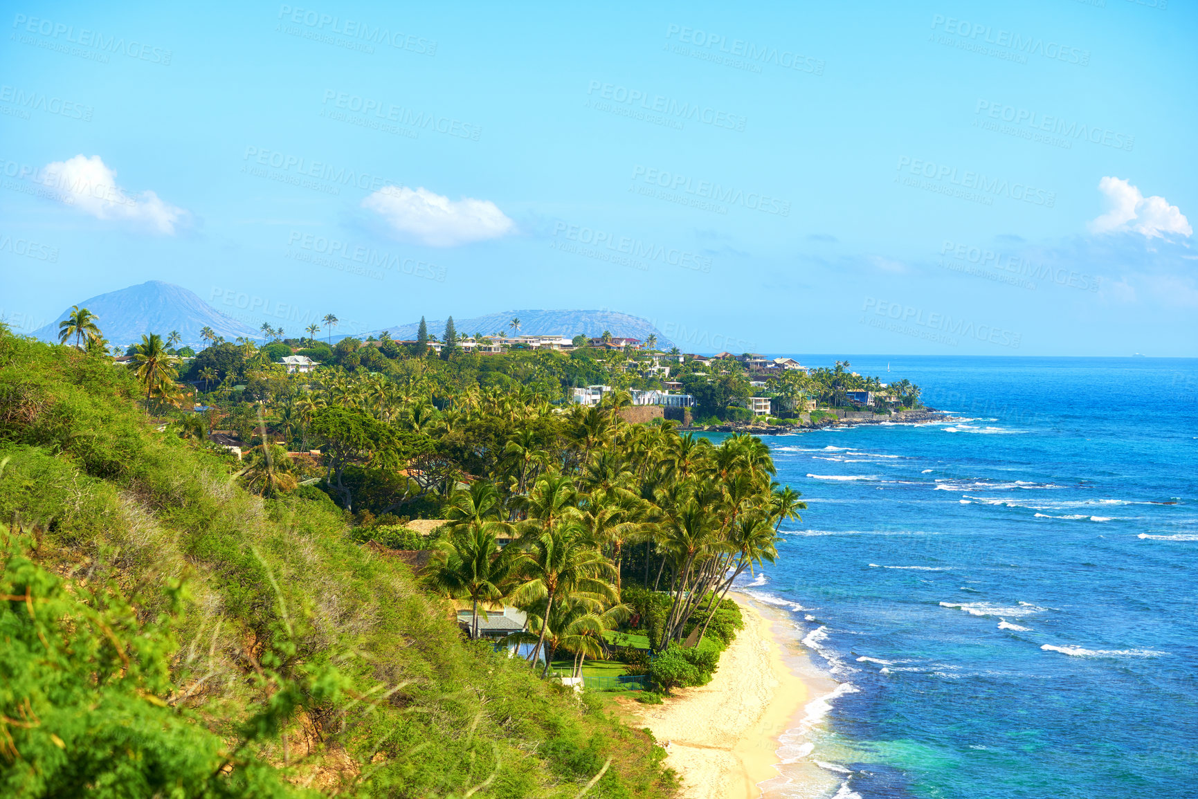 Buy stock photo Coastline, palm tree and building with beach and ocean for environment, travel destination and tropical. Summer vacation, water and sand with sea at Miami for landscape, holiday and paradise tourism
