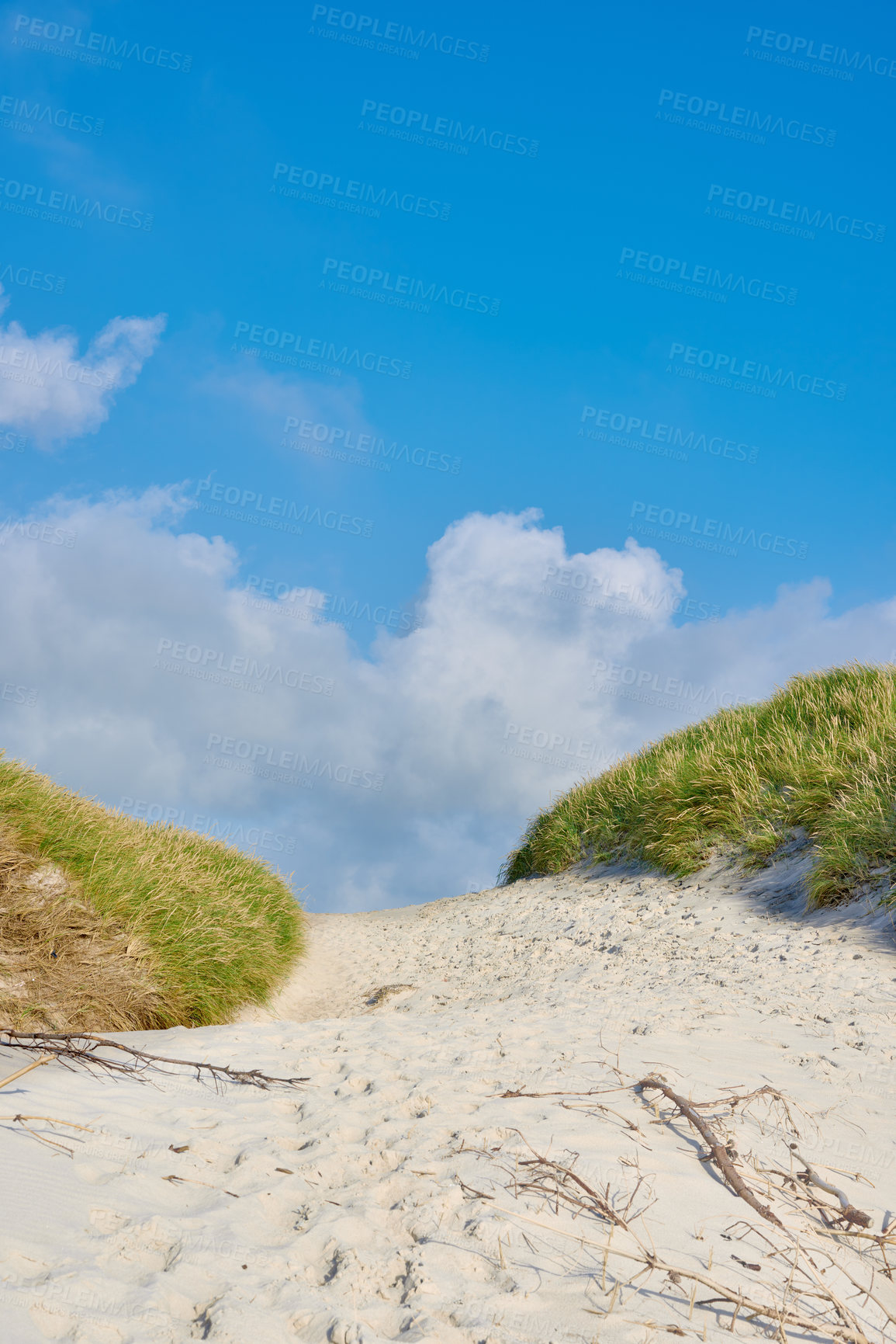 Buy stock photo Background, blue sky and beach dune in environment for peace, nature and tropical island for travel or vacation. Sand, clouds and bushes with shore, landscape and outdoor summer for holiday adventure