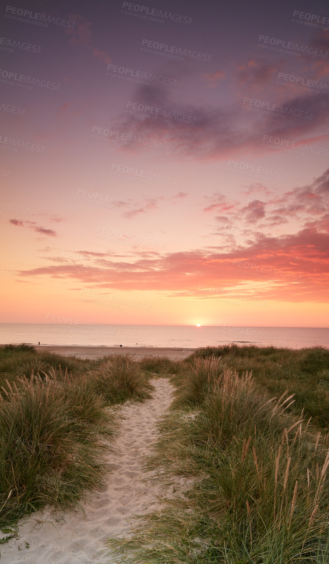 Buy stock photo Background, sunset sky and beach dune in environment for zen, nature and tropical island for travel or vacation. Sand, plants and bushes with shore, landscape and outdoor summer for holiday adventure