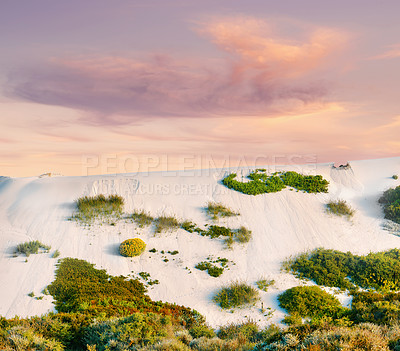 Buy stock photo Background, sunset and sand dune in environment for zen, nature and tropical island for travel or vacation. Beach, plants and bushes with shore sky, landscape and outdoor summer for holiday adventure