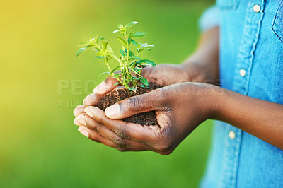 Buy stock photo Hand, plant and soil for sustainability innovation, environmental awareness and clean energy for eco friendly. Person, leaf and grow for unity support and ecology for hope, growth and help nature