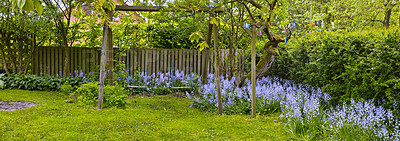 Buy stock photo A photo of the garden in summertime