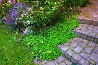 Buy stock photo A photo of the garden in summertime