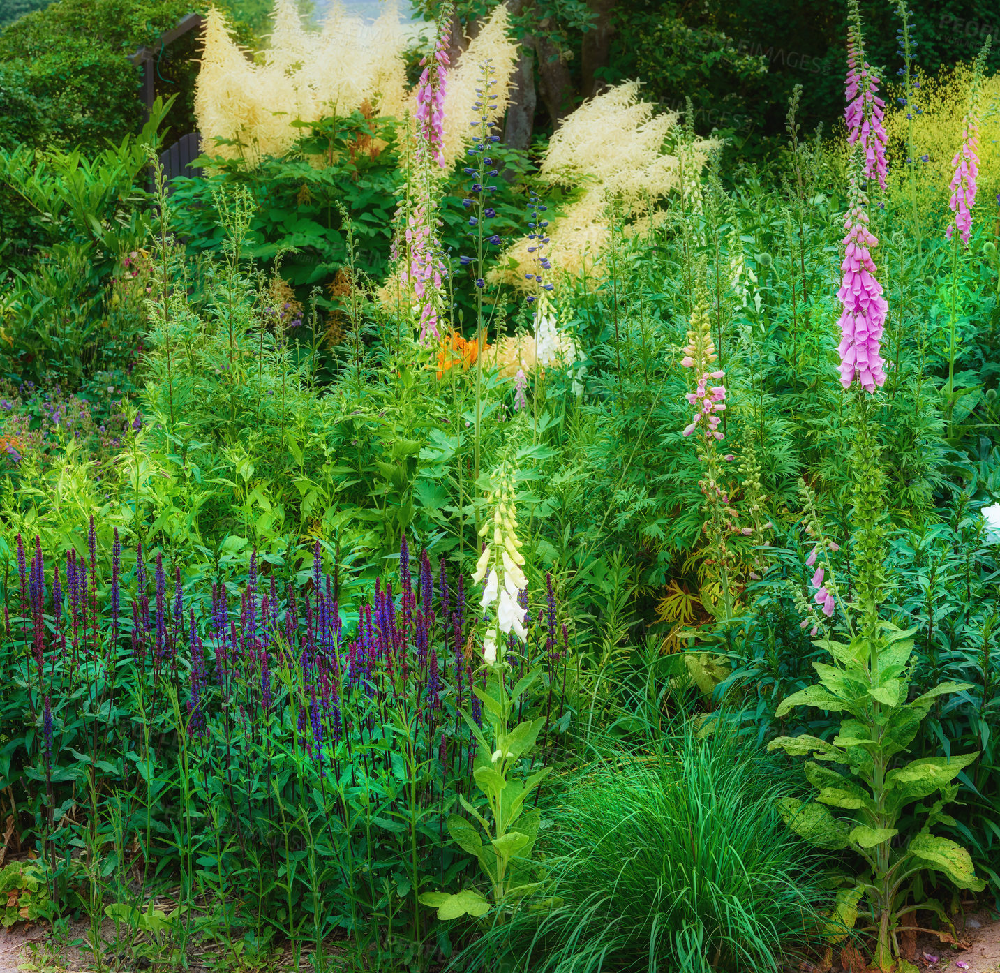 Buy stock photo A photo of the garden in summertime