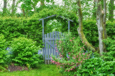 Buy stock photo Garden, gate and plants landscaping with flowers for entrance to forest, adventure and natural environment. Foliage, wooden structure and boundary hedge in nature for security, architecture and entry