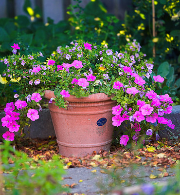 Buy stock photo A photo of the garden in summertime