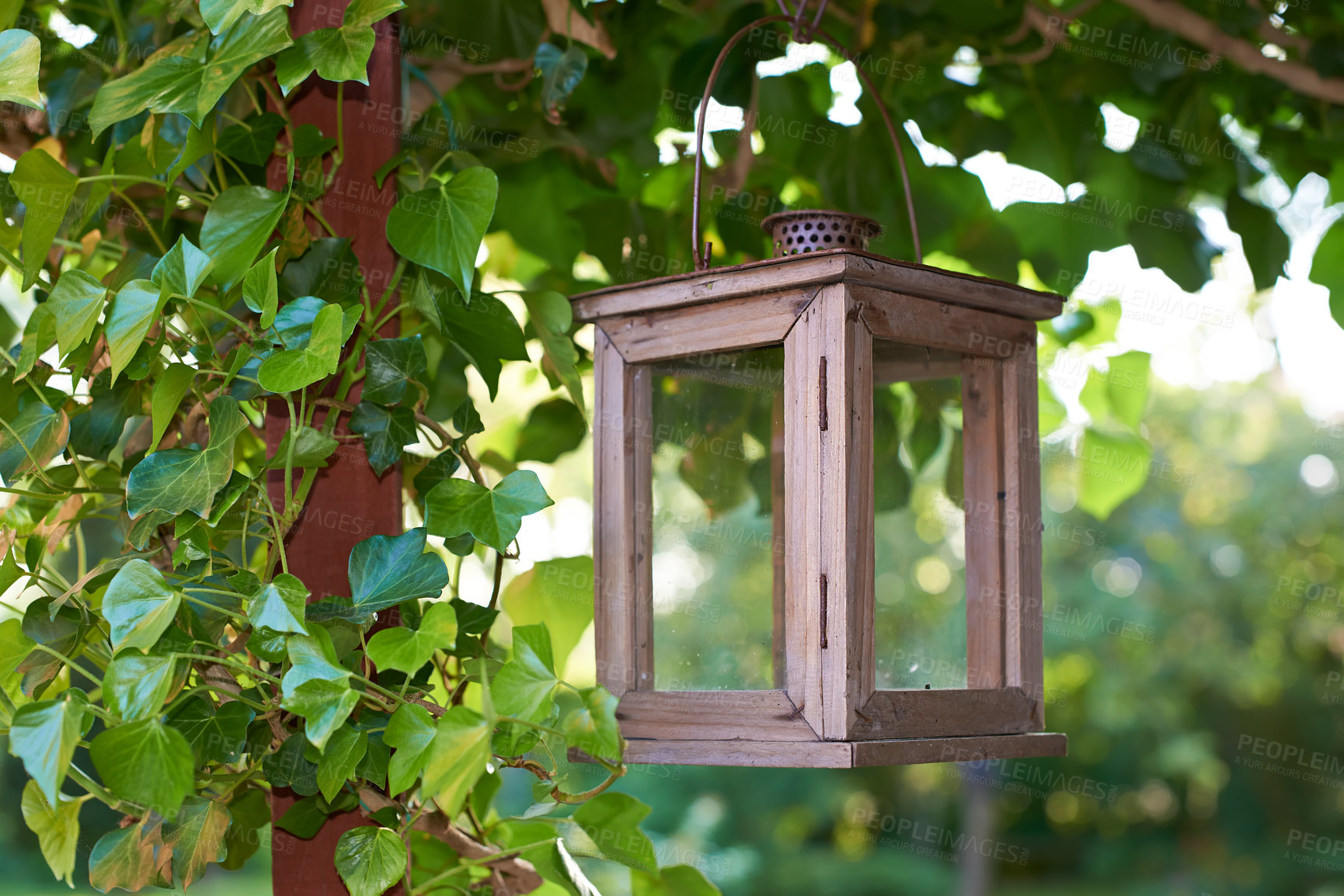 Buy stock photo A photo of the garden in summertime