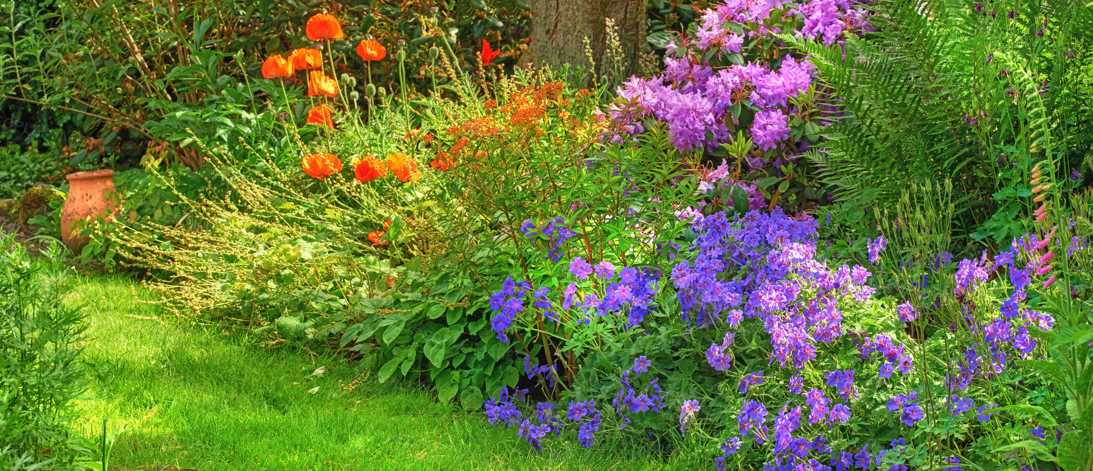 Buy stock photo A photo of the garden in summertime