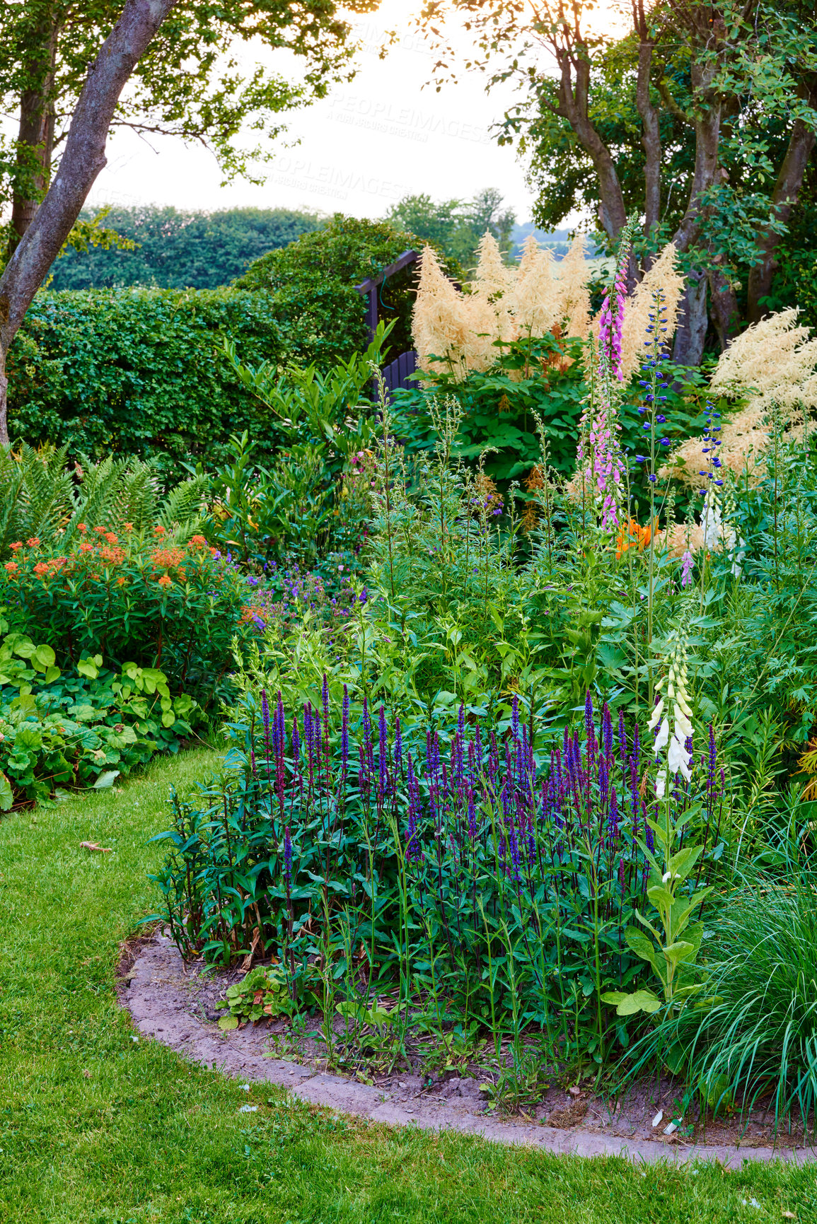 Buy stock photo A photo of the garden in summertime