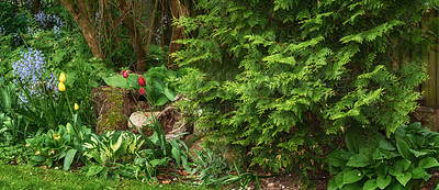 Buy stock photo A photo of the garden in summertime