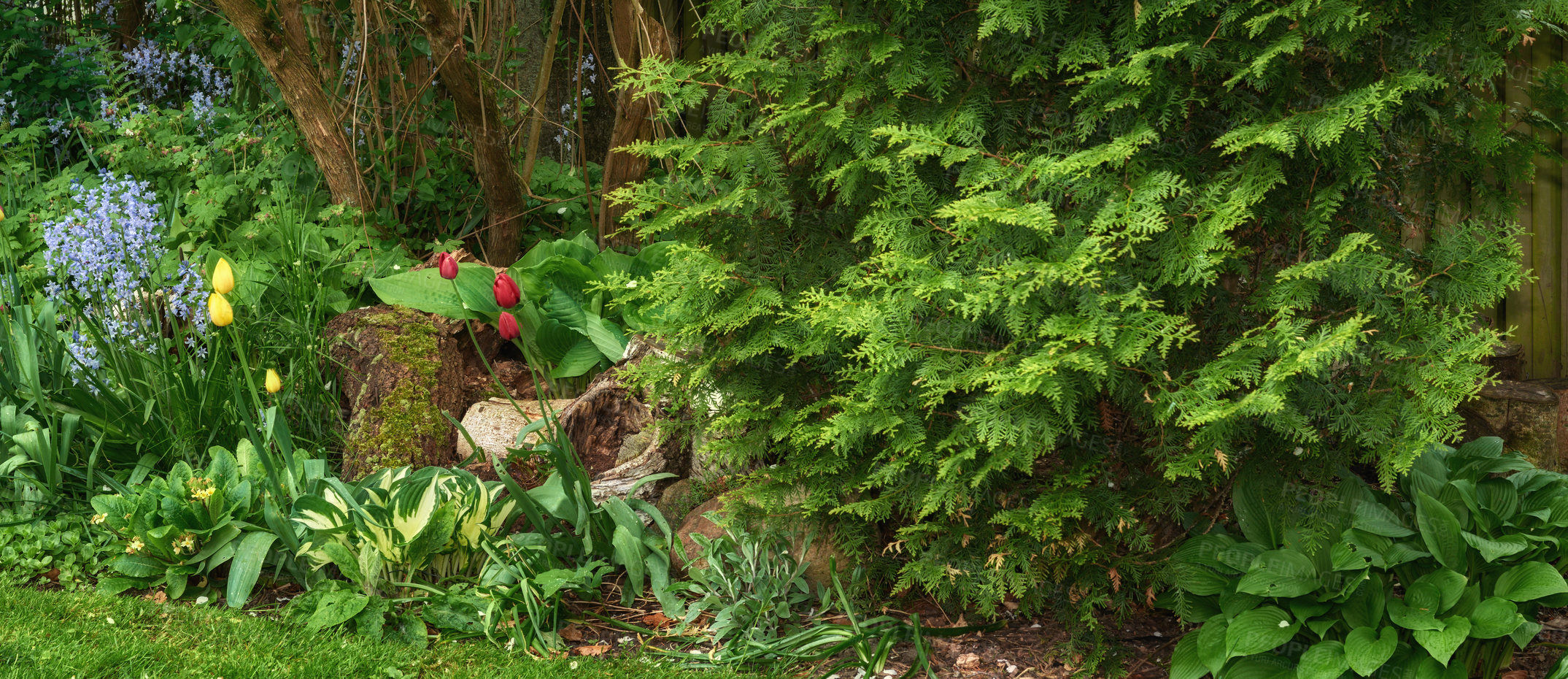 Buy stock photo A photo of the garden in summertime