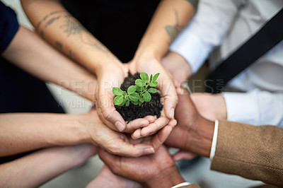 Buy stock photo Cropped shot of a group of unidentifiable businesspeople cupping their hands around a small seedling