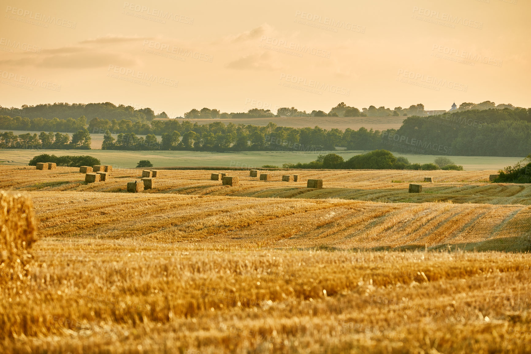 Buy stock photo A photo of a vibrant country field in harvest