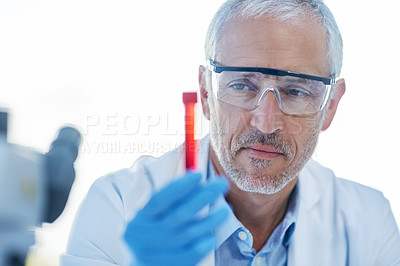 Buy stock photo Science, blood and mature man with test tube for biotech engineering, pathology and hematology research. Laboratory, investigation and scientist checking diabetes drugs development for medical study