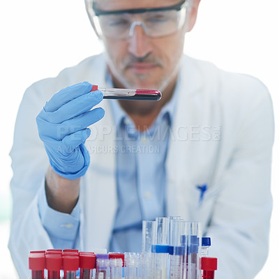 Buy stock photo Science, blood test and mature man with test tube for biotech engineering, pathology and hematology research. Laboratory, investigation and scientist checking sample for development for medical study