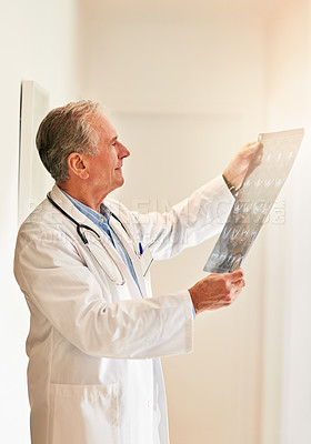 Buy stock photo Cropped shot of a mature doctor holding up an x-ray to examine it