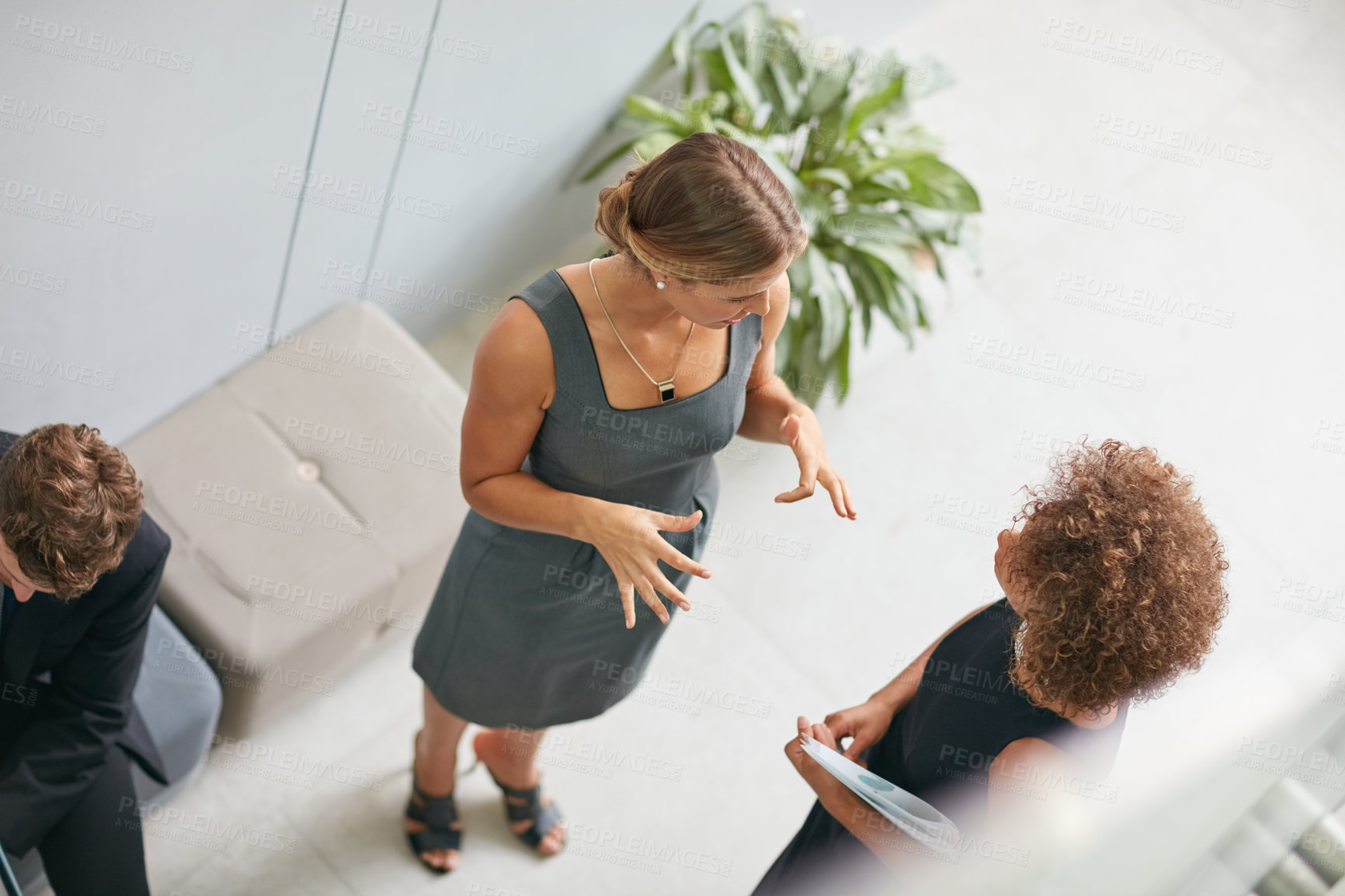 Buy stock photo High angle shot of two businesswomen talking together in a modern office