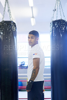 Buy stock photo Portrait of a young man standing between two boxing bags in the gym