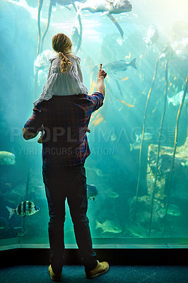 Buy stock photo Shot of a father and his little daughter looking at an exhibit in an aquarium