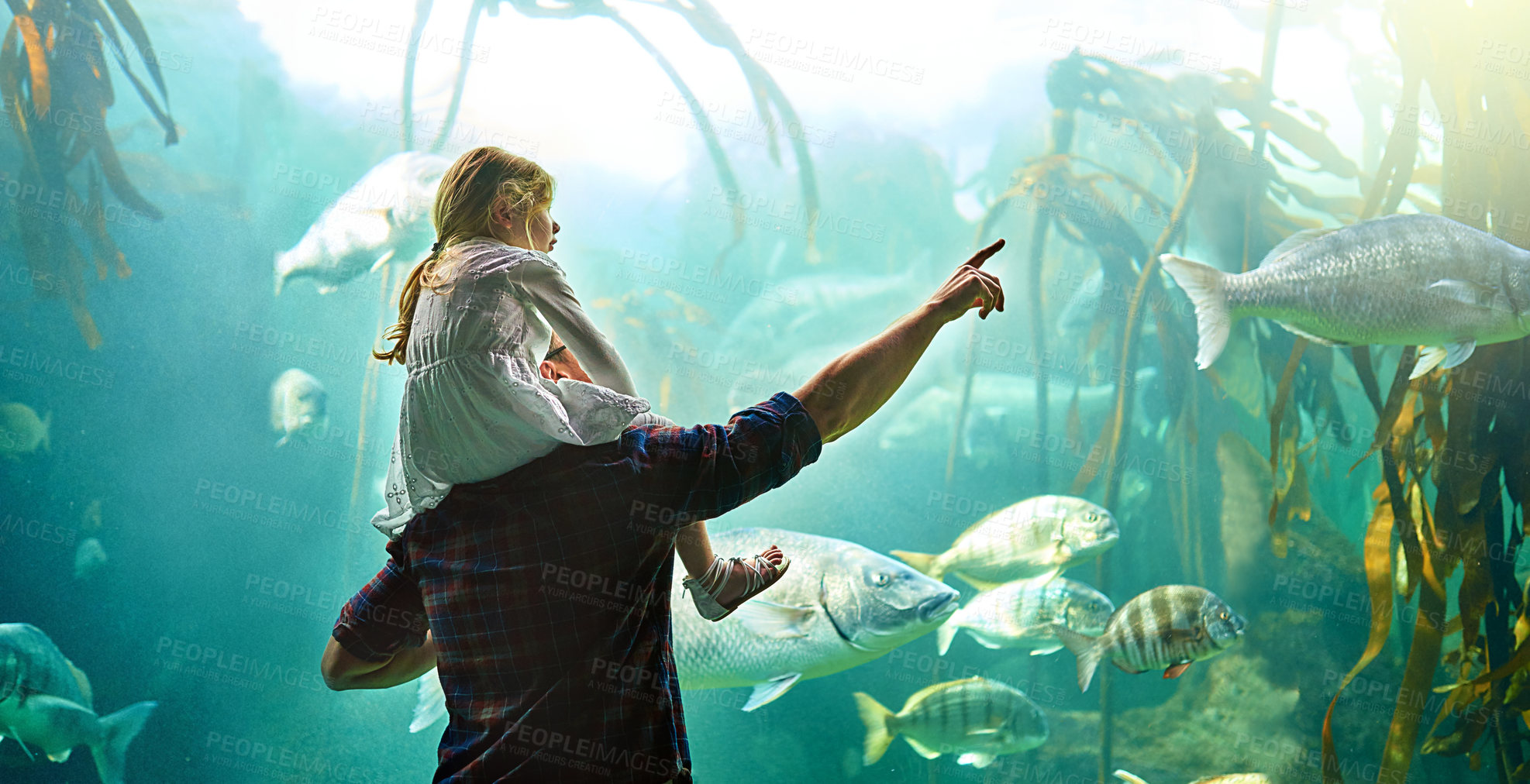 Buy stock photo Father, kid and back with fish in aquarium for education experience, marine learning and coral environment. Family, pointing and exhibit tank for sea animals, biology development and bonding together