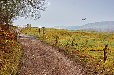 Buy stock photo Landscape of a winding dirt road and path in a remote farm land and countryside in Germany. Serene and peaceful country lane leading into the hills of lush green fields. Scenic view of nature at dawn