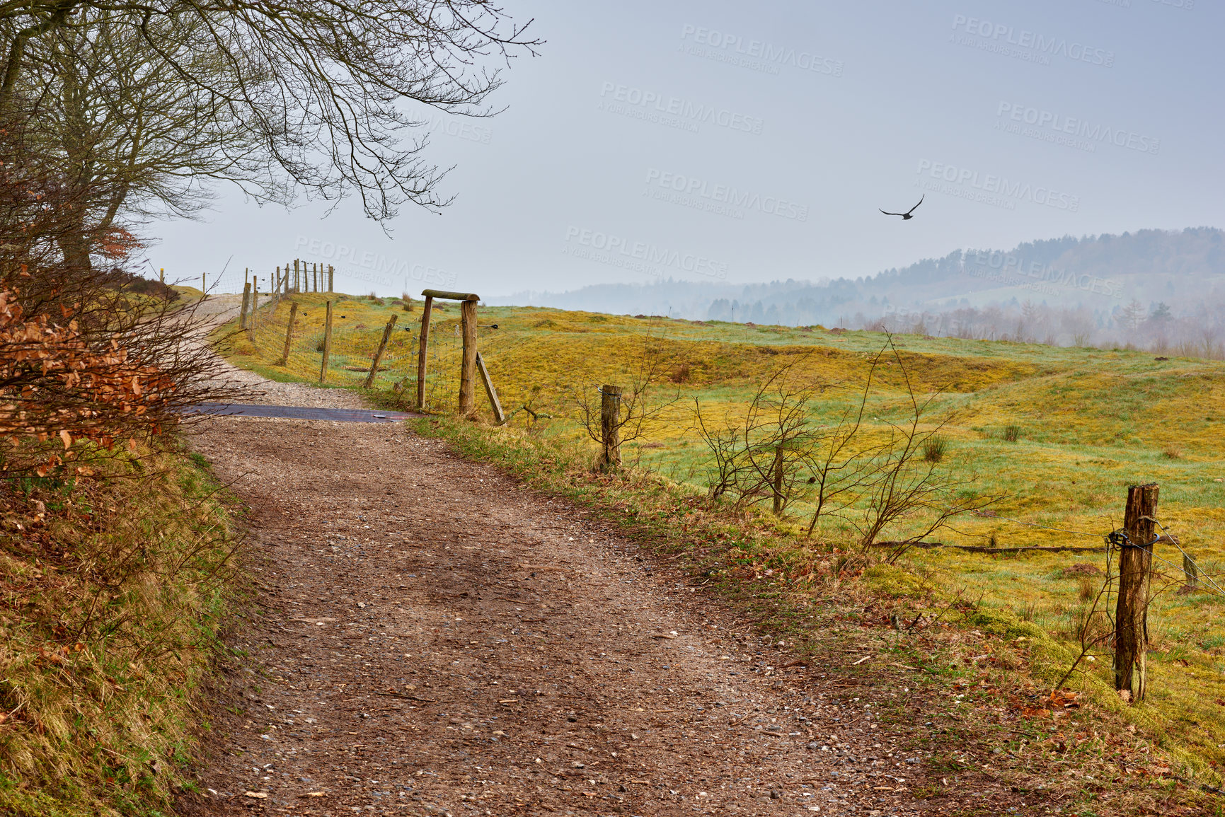 Buy stock photo Landscape of a winding dirt road and path in a remote farm land and countryside in Germany. Serene and peaceful country lane leading into the hills of lush green fields. Scenic view of nature at dawn