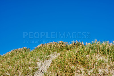 Buy stock photo Blue sky, dune and sand with nature, plants and environment with summer, tourism and travel. Empty, outdoor and grass with sunshine, Denmark and holiday with landscape, calm and vacation