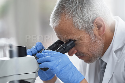 Buy stock photo Shot of a scientific researcher at work on a microscope in a lab