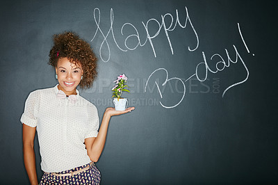 Buy stock photo Black woman, studio portrait and holding plant with smile, beauty and celebration of birthday. Woman, teacher and writing wall for happy birthday, b-day and happiness with flowers for gift of growth