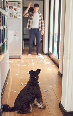 Buy stock photo Shot of a man looking at the mess his dog made in the house